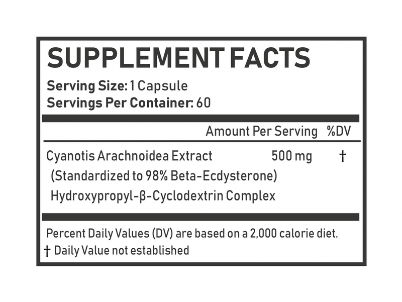 Beta-Ecdysterone - Ecdysterone X - 600mg - 60 Capsules - Turkesterone Europe