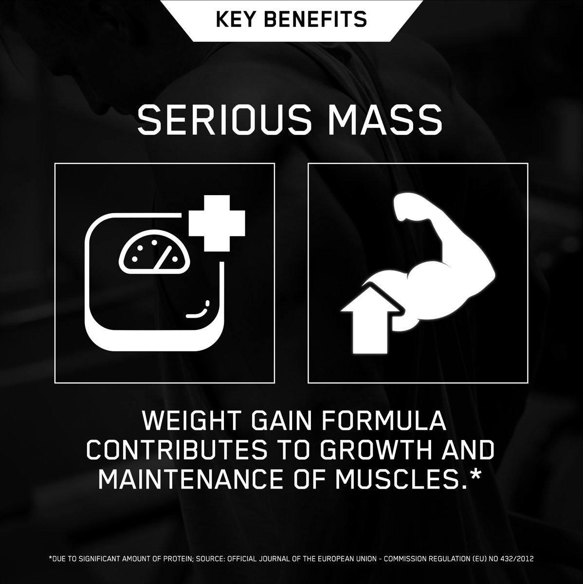 Serious Mass - Optimum Nutrition